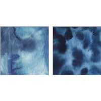 Framed 'Indigo Dye 2 Piece Art Print Set' border=