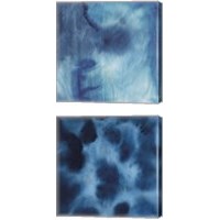 Framed 'Indigo Dye 2 Piece Canvas Print Set' border=