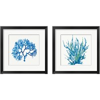 Framed 'Blue Coral 2 Piece Framed Art Print Set' border=