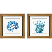 Framed 'Blue Coral 2 Piece Framed Art Print Set' border=