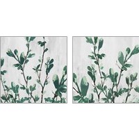 Framed 'Branch 2 Piece Art Print Set' border=