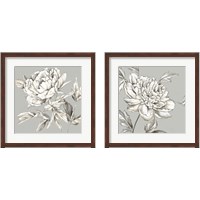 Framed 'Botanical 2 Piece Framed Art Print Set' border=