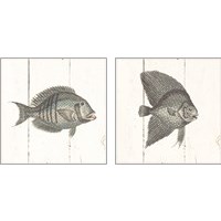 Framed 'Fish Sketches Shiplap2 Piece Art Print Set' border=