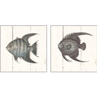 Framed 'Fish Sketches Shiplap2 Piece Art Print Set' border=