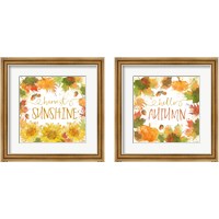 Framed 'Harvest Splash 2 Piece Framed Art Print Set' border=