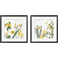 Framed 'Citron Curiosities 2 Piece Framed Art Print Set' border=