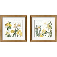 Framed 'Citron Curiosities 2 Piece Framed Art Print Set' border=