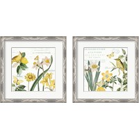 Framed 'Citron Curiosities 2 Piece Framed Art Print Set' border=