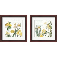 Framed 'Citron Curiosities 2 Piece Framed Art Print Set' border=