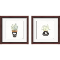 Framed 'Fine Herbs  2 Piece Framed Art Print Set' border=