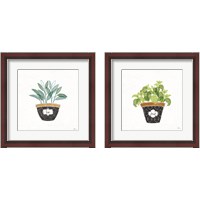 Framed 'Fine Herbs  2 Piece Framed Art Print Set' border=