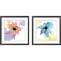 Framed 'Watercolor Graphite Flower 2 Piece Framed Art Print Set' border=