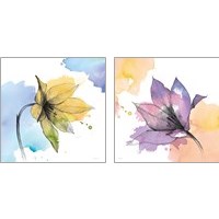 Framed 'Watercolor Graphite Flower 2 Piece Art Print Set' border=