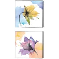 Framed 'Watercolor Graphite Flower 2 Piece Canvas Print Set' border=