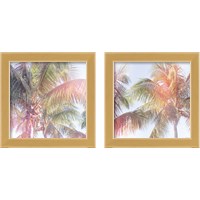 Framed 'Dream Palm 2 Piece Framed Art Print Set' border=