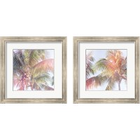 Framed 'Dream Palm 2 Piece Framed Art Print Set' border=