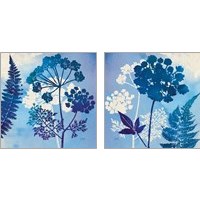 Framed 'Blue Sky Garden 2 Piece Art Print Set' border=