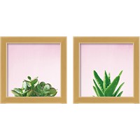 Framed 'Succulent Simplicity on Pink 2 Piece Framed Art Print Set' border=