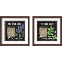 Framed 'Herb Guide 2 Piece Framed Art Print Set' border=