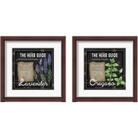 Framed 'Herb Guide 2 Piece Framed Art Print Set' border=