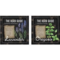 Framed 'Herb Guide 2 Piece Art Print Set' border=