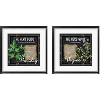 Framed 'Herb Guide 2 Piece Framed Art Print Set' border=