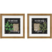 Framed 'Herb Guide 2 Piece Framed Art Print Set' border=