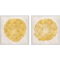 Framed 'Tree Stump Golden 2 Piece Art Print Set' border=