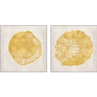 Framed 'Tree Stump Golden 2 Piece Art Print Set' border=