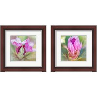 Framed 'Spring Bud 2 Piece Framed Art Print Set' border=