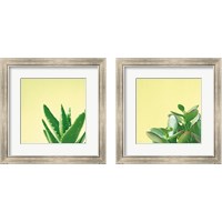 Framed 'Succulent Simplicity 2 Piece Framed Art Print Set' border=