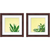 Framed 'Succulent Simplicity 2 Piece Framed Art Print Set' border=