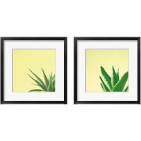 Framed 'Succulent Simplicity 2 Piece Framed Art Print Set' border=