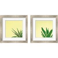 Framed 'Succulent Simplicity 2 Piece Framed Art Print Set' border=