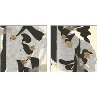 Framed 'Collage  2 Piece Art Print Set' border=