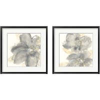 Framed 'Floral Gray 2 Piece Framed Art Print Set' border=