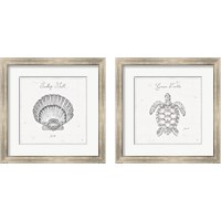 Framed 'Underwater Life 2 Piece Framed Art Print Set' border=