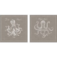 Framed 'Underwater Life Greige 2 Piece Art Print Set' border=