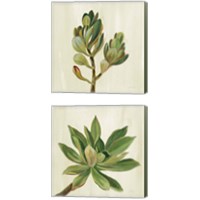 Framed 'Front Yard Succulent 2 Piece Canvas Print Set' border=