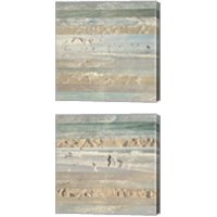 Framed 'Flying Beach Birds 2 Piece Canvas Print Set' border=