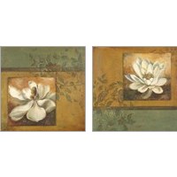 Framed 'White Nature 2 Piece Art Print Set' border=