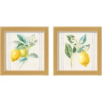 Framed 'Floursack Lemons Sq Navy 2 Piece Framed Art Print Set' border=