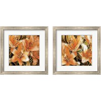 Framed 'Apricot Dream 2 Piece Framed Art Print Set' border=