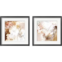 Framed 'Blush & Umber 2 Piece Framed Art Print Set' border=