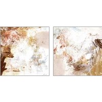 Framed 'Blush & Umber 2 Piece Art Print Set' border=