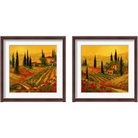 Framed 'Poppies of Toscano 2 Piece Framed Art Print Set' border=