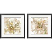 Framed 'Neutral Watercolor Poppy Close Up 2 Piece Framed Art Print Set' border=