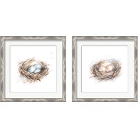 Framed 'Bird Life 2 Piece Framed Art Print Set' border=