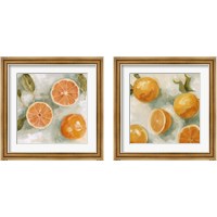 Framed 'Fresh Citrus 2 Piece Framed Art Print Set' border=