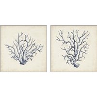 Framed 'Coral Trio in Indigo 2 Piece Art Print Set' border=